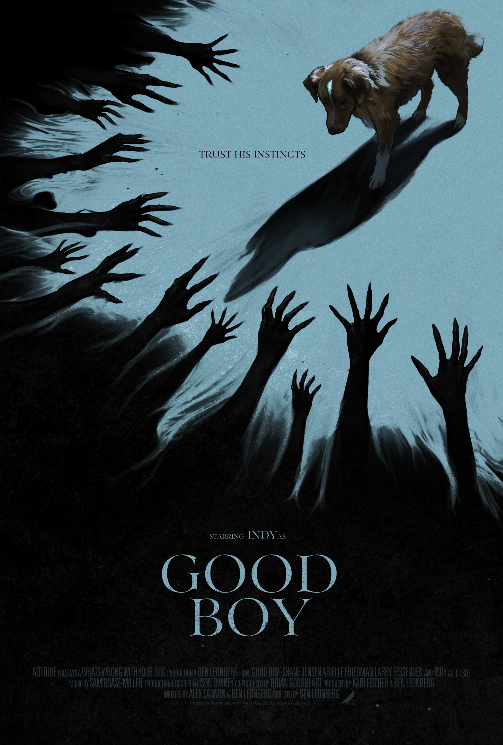 Filmplakat des Titels „GOOD BOY - TRUST HIS INSTINCTS”