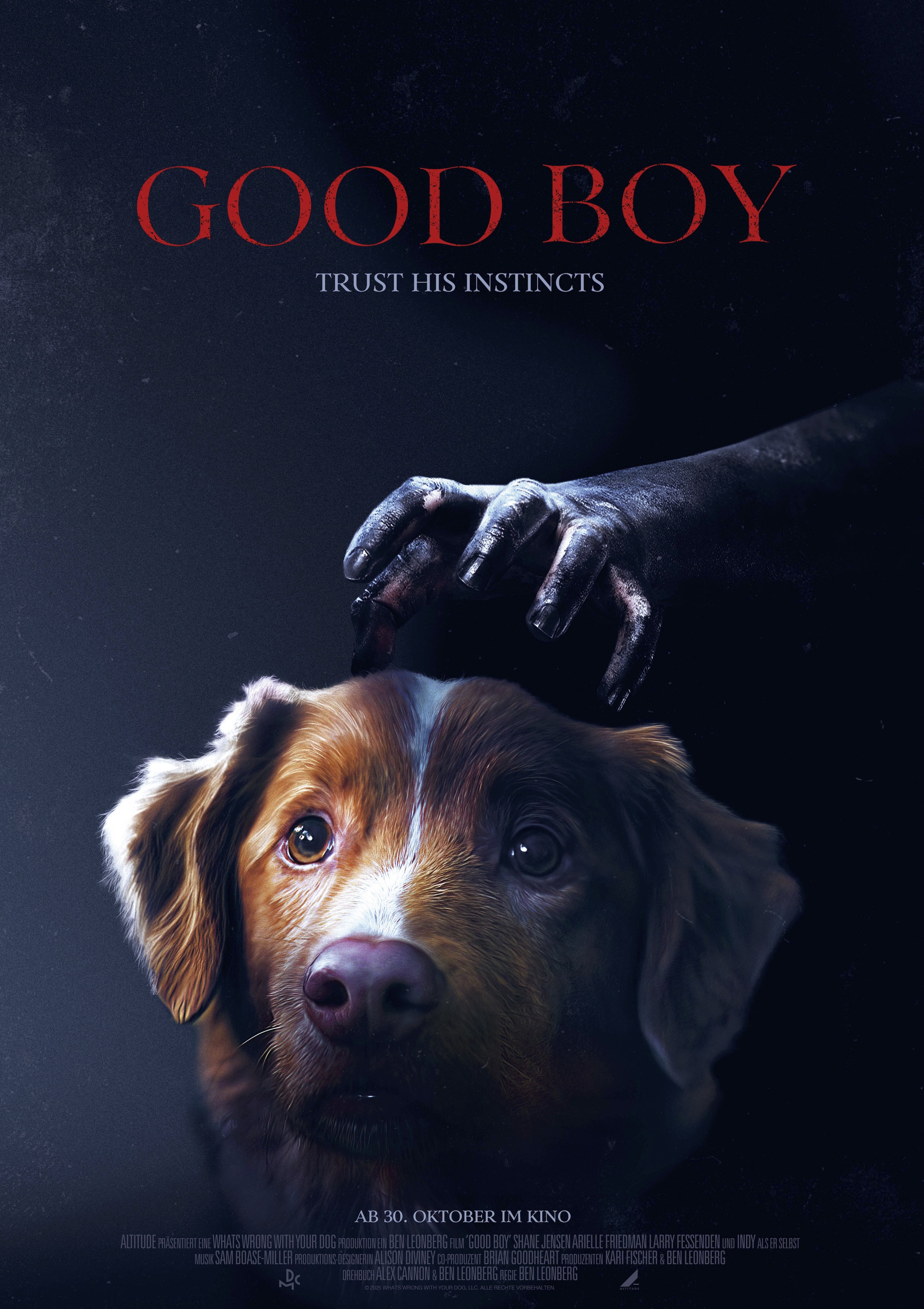 Filmplakat des Titels „GOOD BOY - TRUST HIS INSTINCTS”