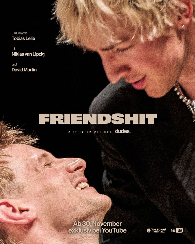 Filmplakat des Titels „FRIENDSHIT – DIE DOKU MIT NIKLAS & DAVID”