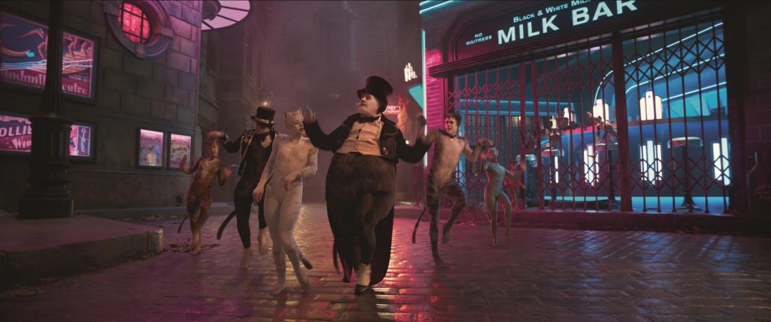 Cats