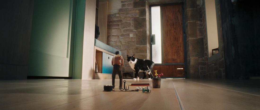 Szene aus dem Film „DER MANN, DER IMMER KLEINER WURDE”