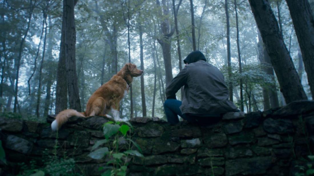 Szene aus dem Film „GOOD BOY - TRUST HIS INSTINCTS”